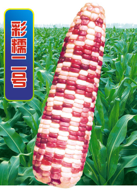 Ŵ