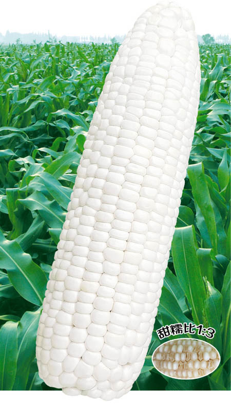 Ŵ908
