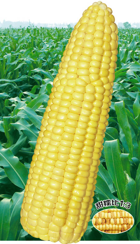 Ŵ1015