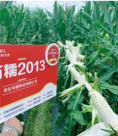 Ŵ2013